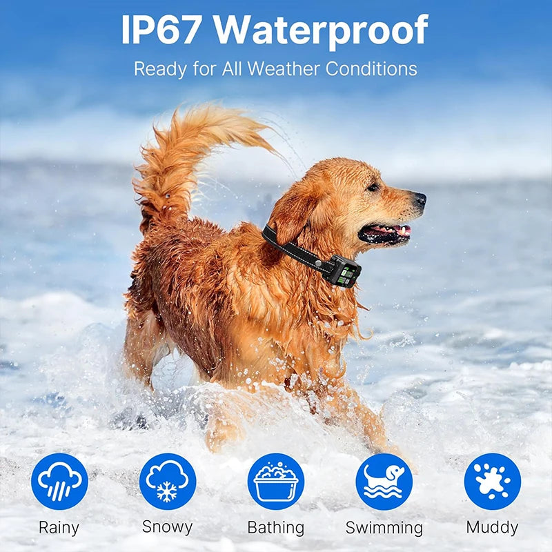 La 1ère Clôture Anti-Fugue GPS SANS ABONNEMENT – Sécurité Totale, Zéro Travaux