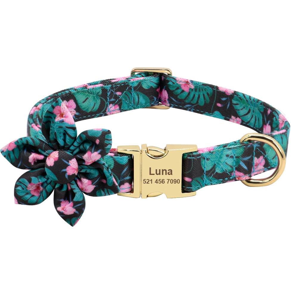 Collier pour Chien Personnalisable Modèle Mignon