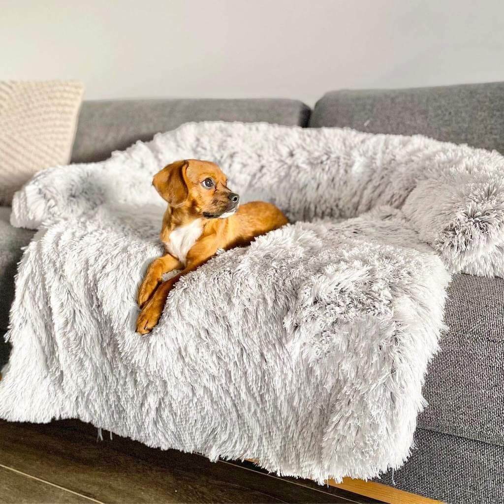 Coussin Protecteur & Ultra Confortable PuppySafe