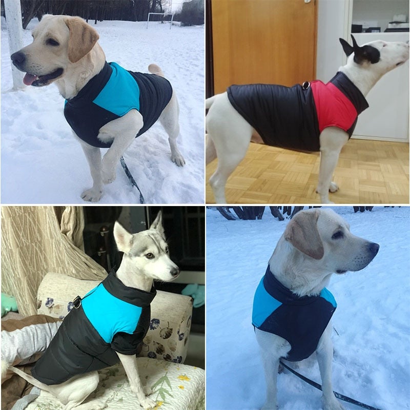 Manteau Thermique PuppySafe™
