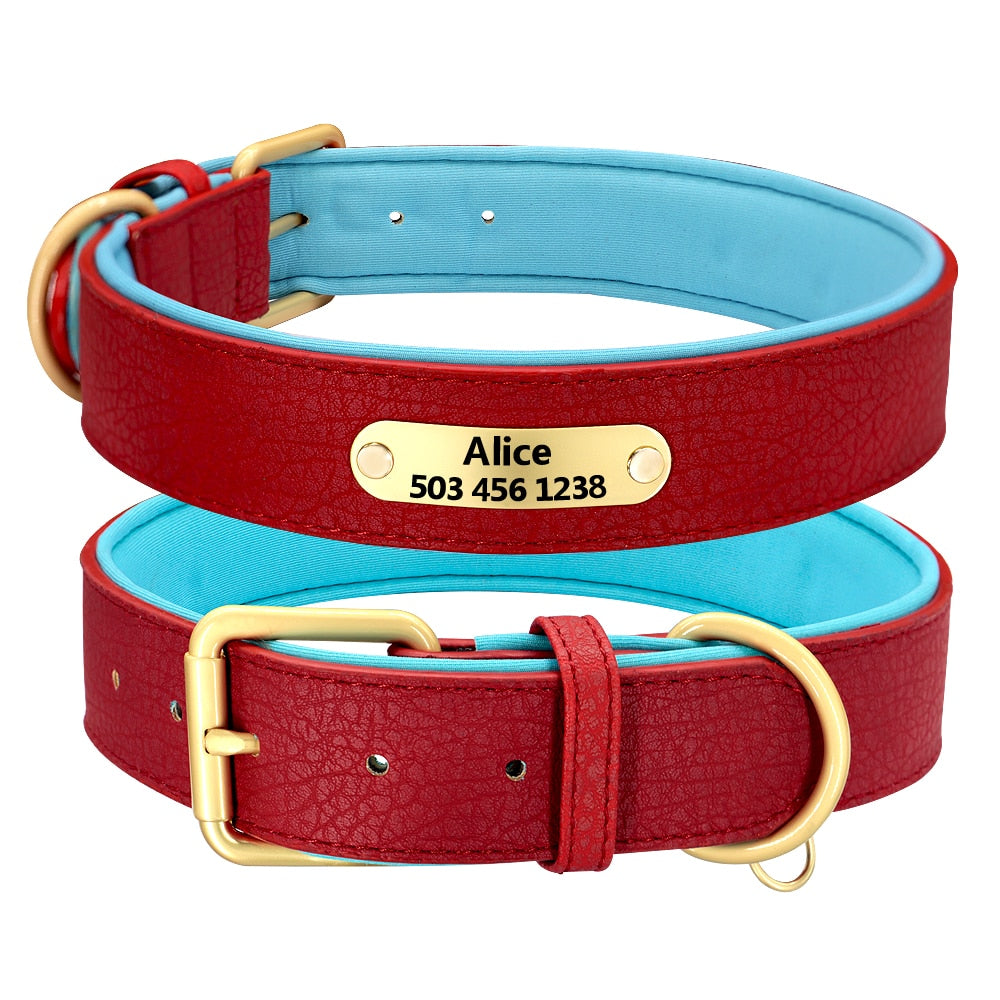 Collier Luxueux pour Chien Personnalisé