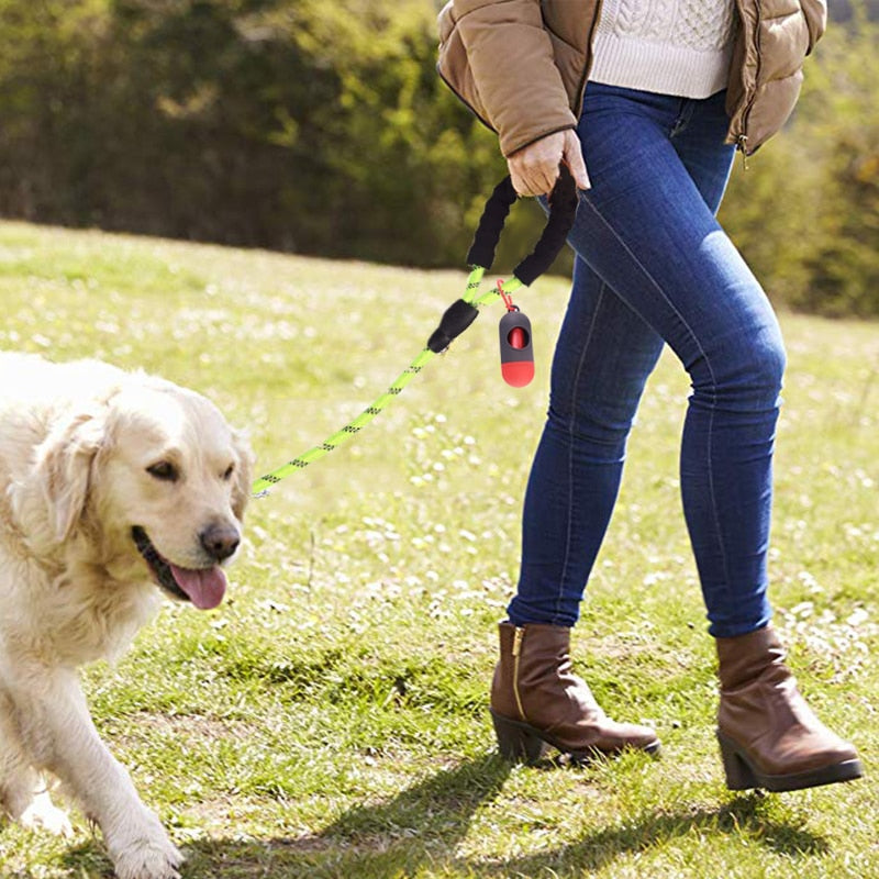 Laisse Réflechissante PuppySafe™