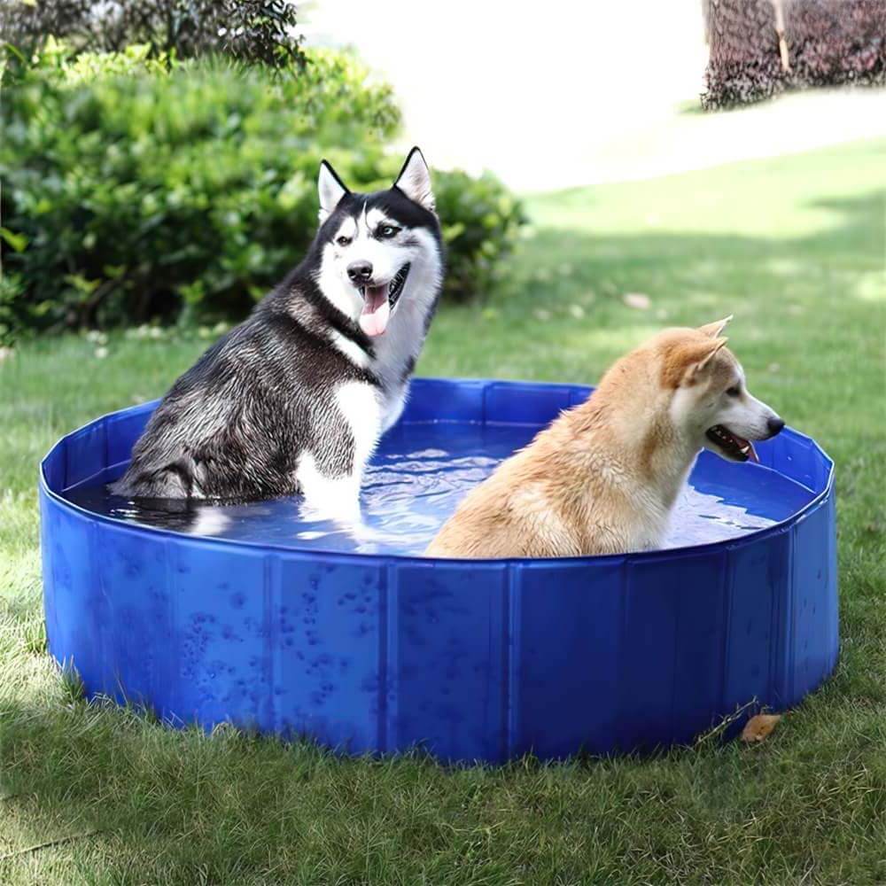 KCSD Piscine pliable pour chien, piscine pour enfants antidérapante, piscine  portable pour chien en PVC, piscine pour enfants en plastique pour enfants,  piscine pour chien pour petits et grands chiens 