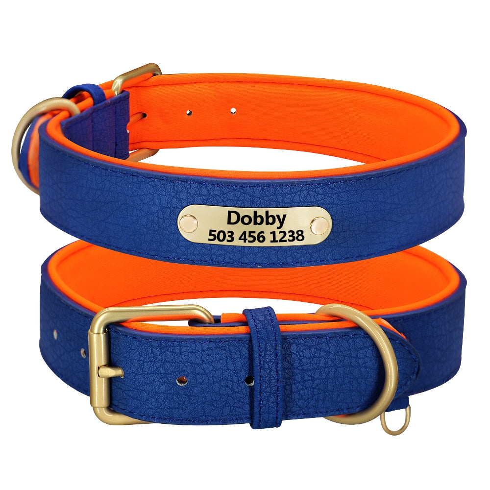 Collier Luxueux pour Chien Personnalisé