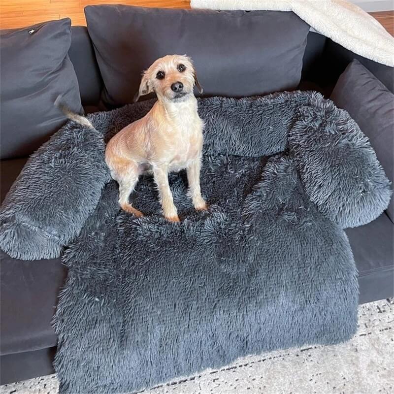 Coussin Protecteur & Ultra Confortable PuppySafe