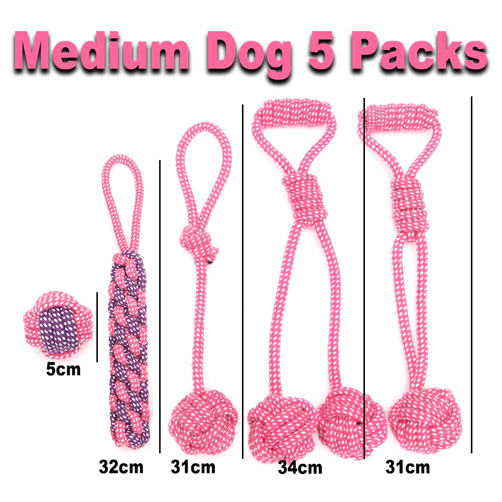 Pack jouets pour chien