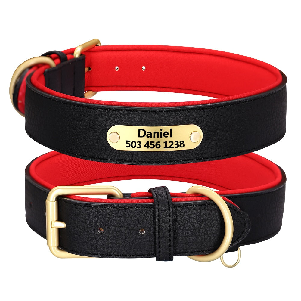 Collier Luxueux pour Chien Personnalisé