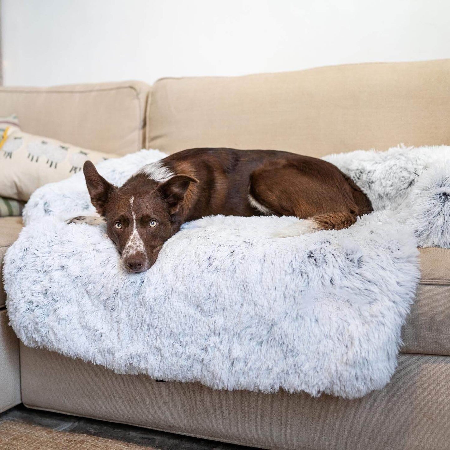 Coussin Protecteur & Ultra Confortable PuppySafe