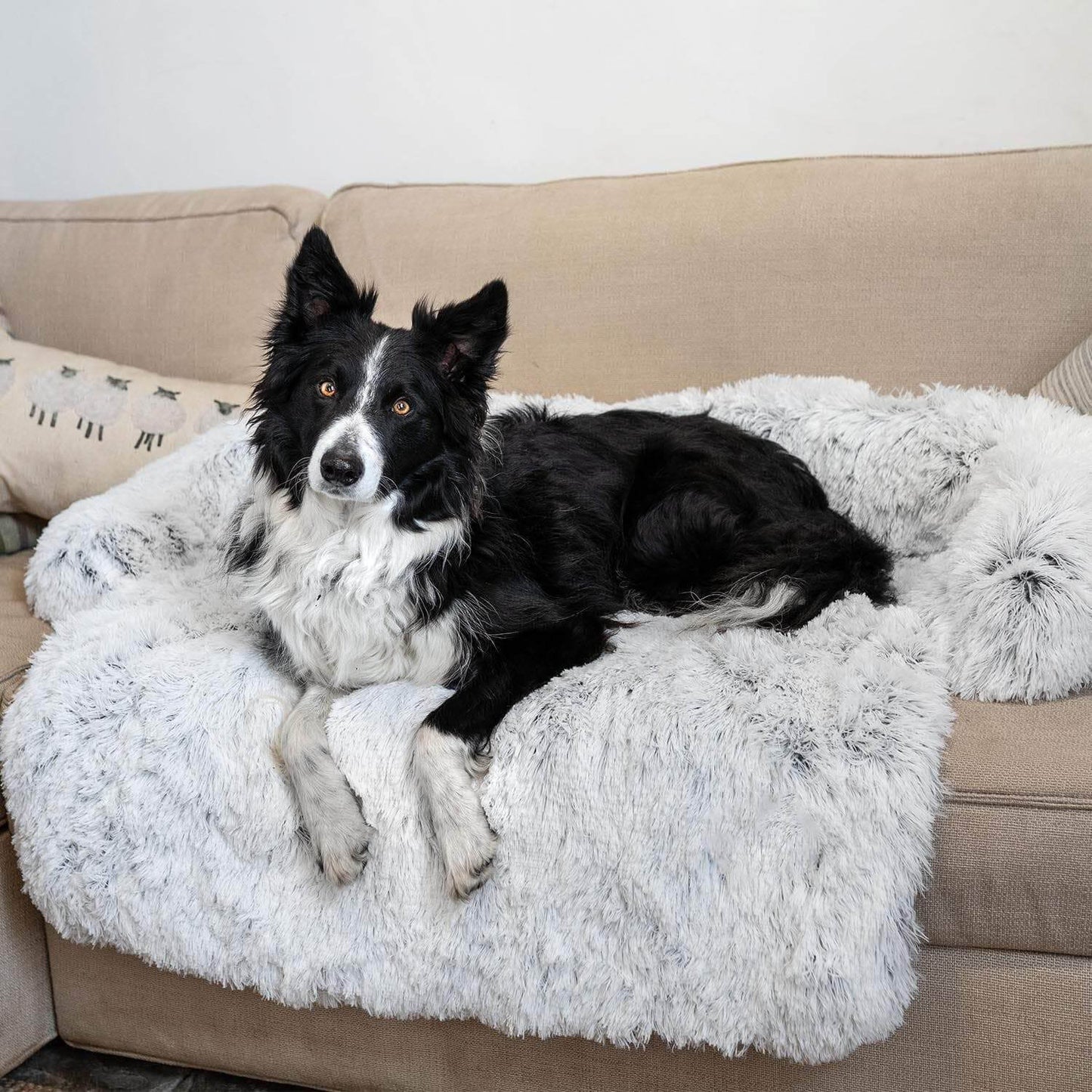 Coussin Protecteur & Ultra Confortable PuppySafe