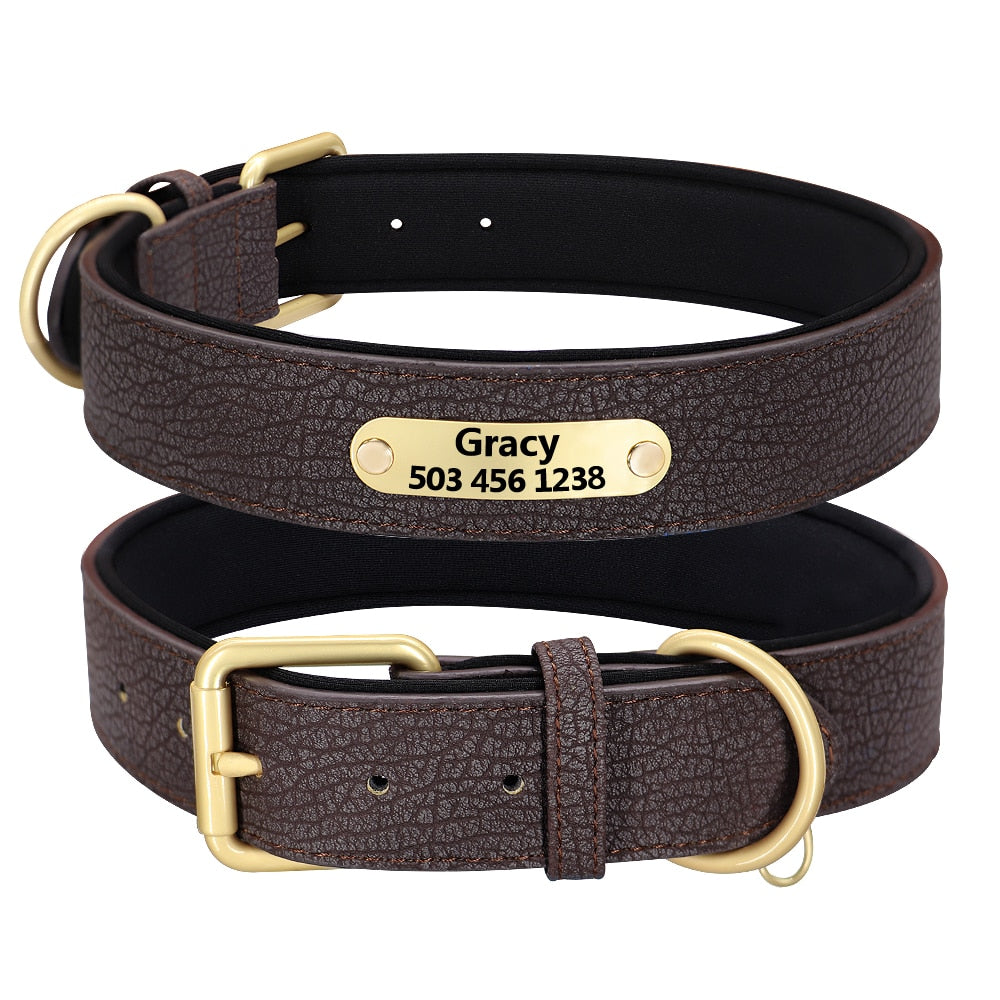 Collier Luxueux pour Chien Personnalisé