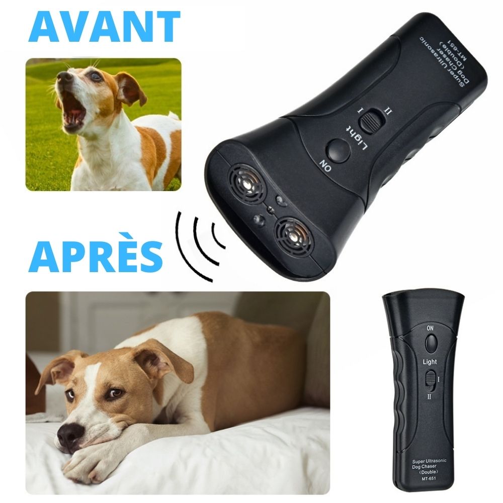 Télécommande pour apaiser les chiens