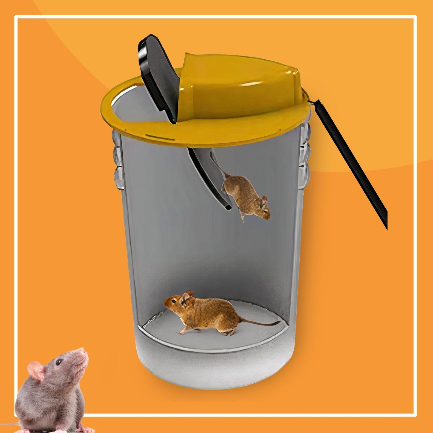 Piège à Rats, Mulots et Souris à Trappe intelligente