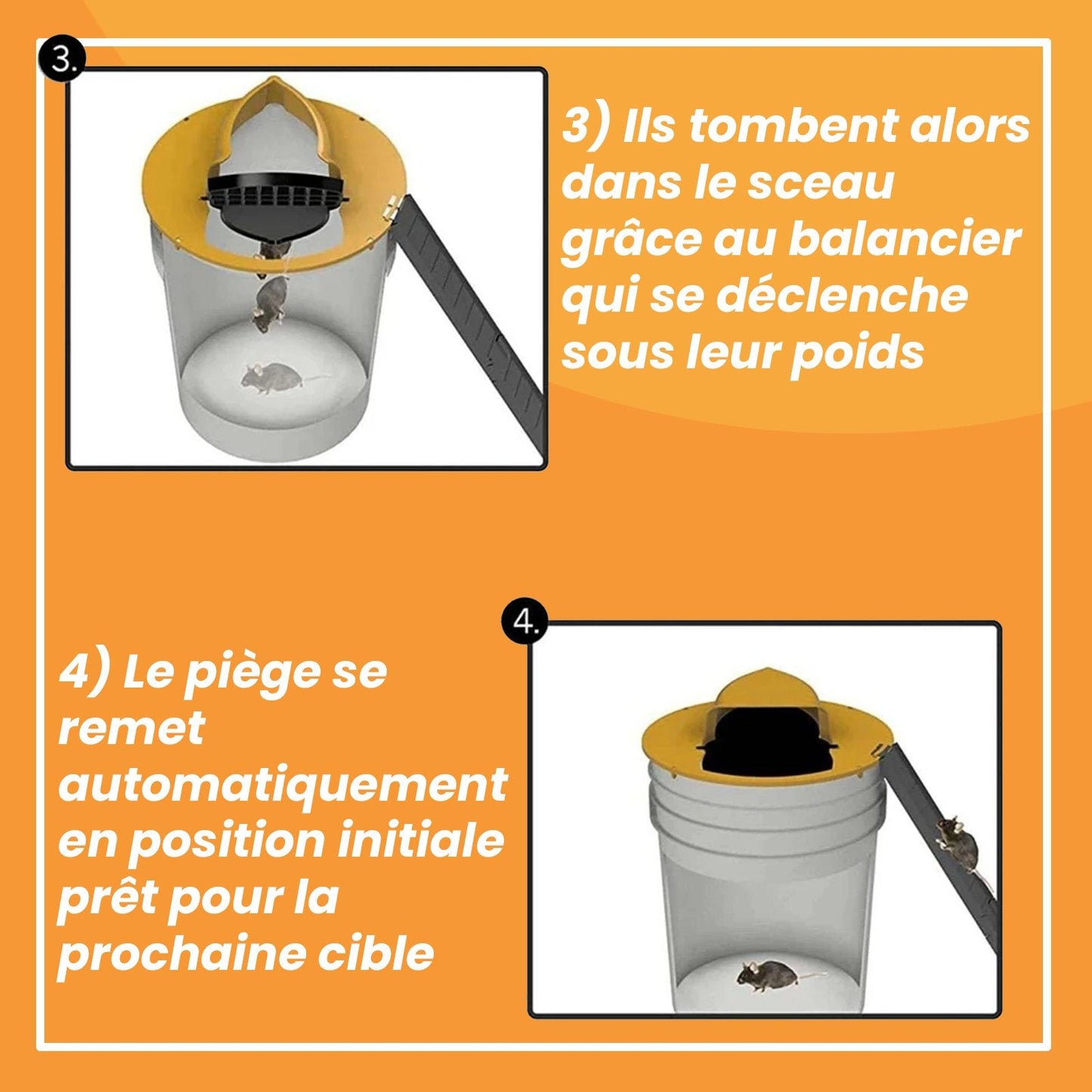 Piège à Rats, Mulots et Souris à Trappe intelligente