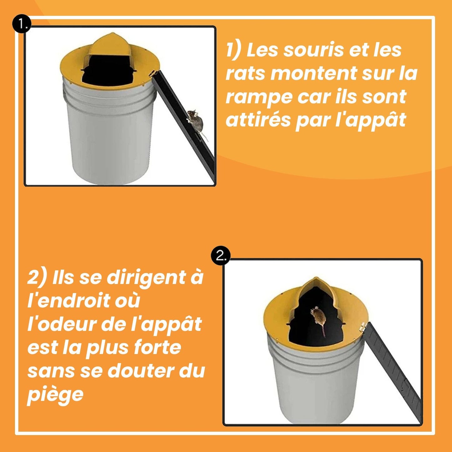 Piège à Rats, Mulots et Souris à Trappe intelligente