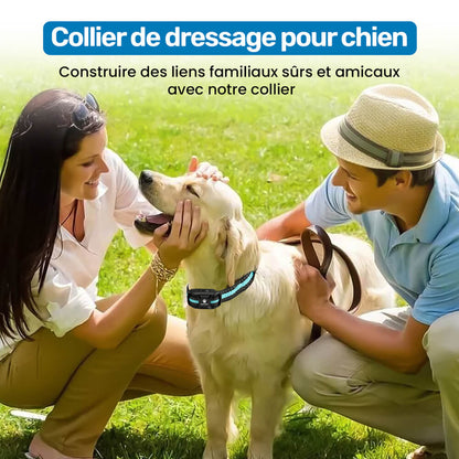 Collier de Dressage PuppySafe - Sans Choc Électrique