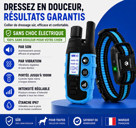 Collier de Dressage PuppySafe - Sans Choc Électrique