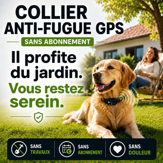 Le 1er Collier Anti-Fugue GPS SANS ABONNEMENT