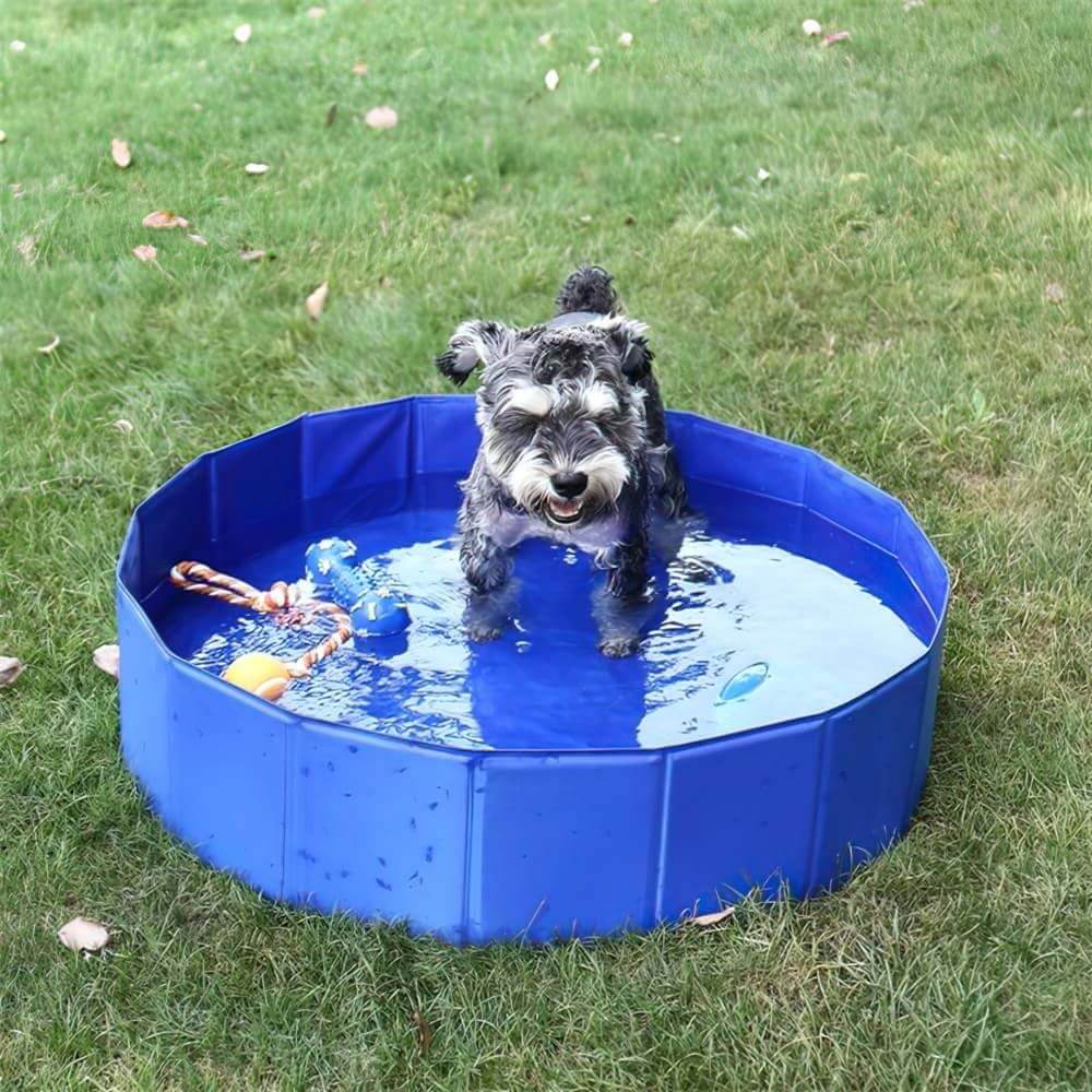 KCSD Piscine pliable pour chien, piscine pour enfants antidérapante, piscine  portable pour chien en PVC, piscine pour enfants en plastique pour enfants,  piscine pour chien pour petits et grands chiens 