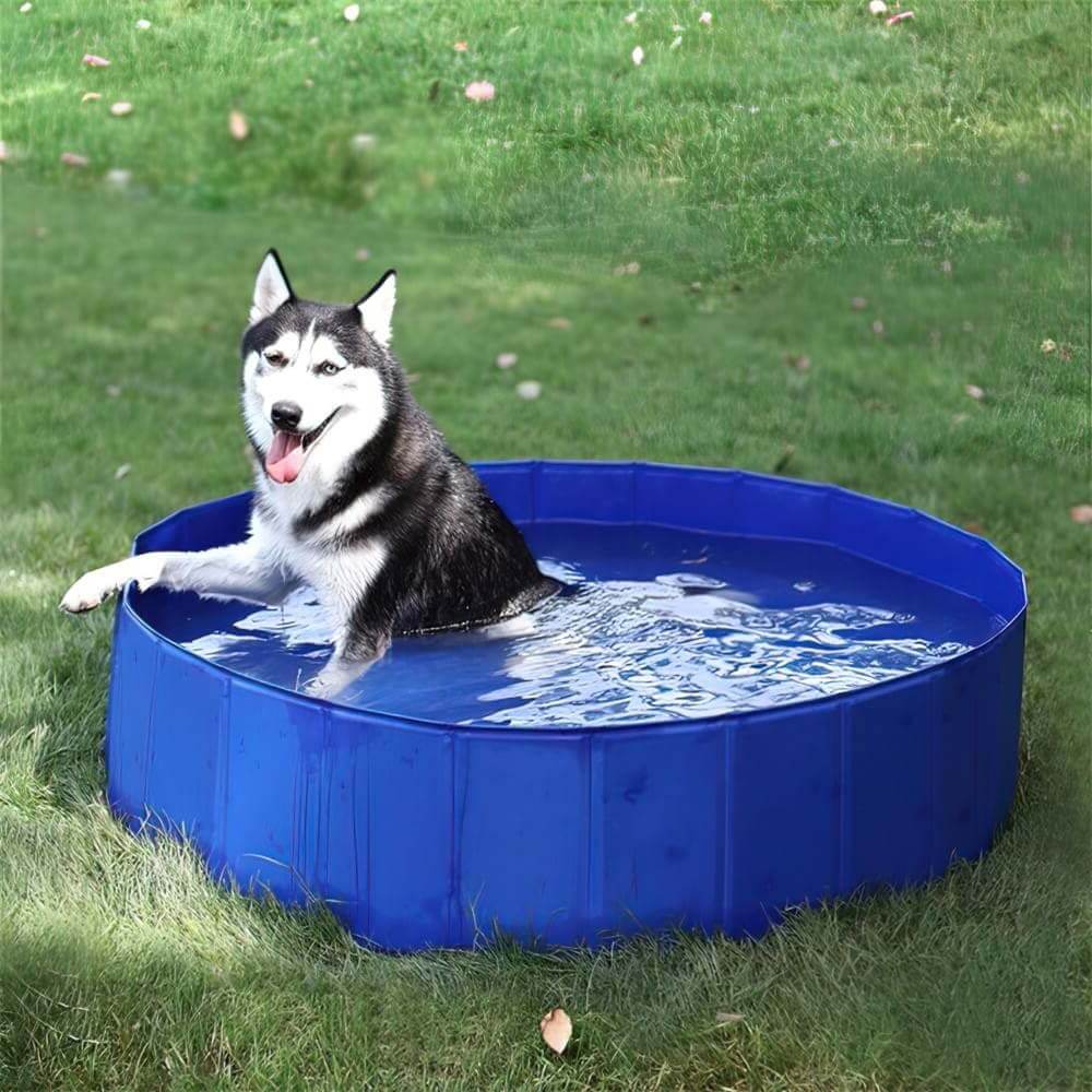 Piscine pour chien bassin PVC pliable anti-glissant facile à nettoyer  diamètre 100 cm hauteur 30 cm bleu