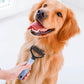 Peigne de Toilettage Professionnel pour Chiens & Chats PuppySafe™